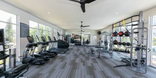 Sugarloaf Grove Gallery 23