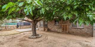 10902 YOGI BERRA Circle Gallery 33