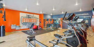 Cedar Green Gallery 15