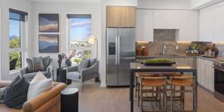 Vivo on Harbor Gallery 3