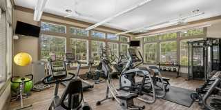 Plantation Park Gallery 43