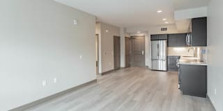 Bayswater Gallery 50