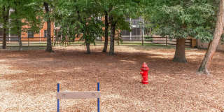 The Ashberry Gallery 19