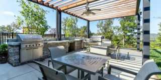 Bells Bluff Gallery 10