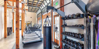 Bailey Farm Gallery 19