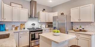 223 RUDOLPH Gallery 7