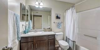 St. Johns Forest Gallery 8