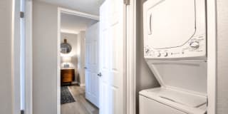 The Harlow Gallery 17