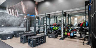 The Laurel Apartments Gallery 5