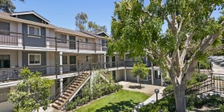 The Avenue at Carlsbad Gallery 16