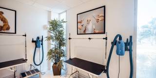 The Wayland Gallery 11