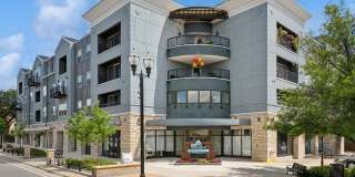 Zen Chaska Gallery 1