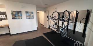 Hollywood 12 Gallery 5