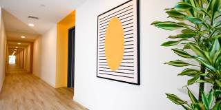 Rising Sun Gallery 53