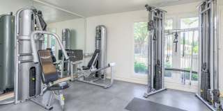 The Eddison Gallery 5