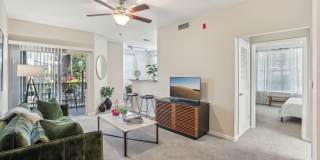 Sole at Citrus Park Gallery 9