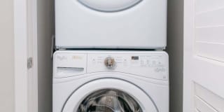 The Whitney Gallery 8