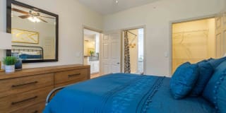 Sonterra Heights Gallery 21