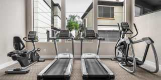 Haven at Midtown Gallery 22