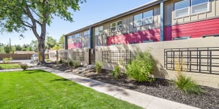 Holiday Gardens Gallery 6