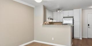 621 5th Ave N Gallery 5