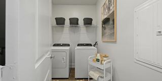 Maggie Flats Gallery 33