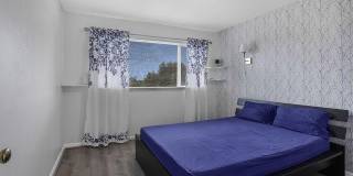 42447 CORLINA Drive Gallery 29