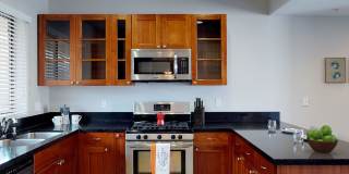 Vista Paradiso Gallery 21