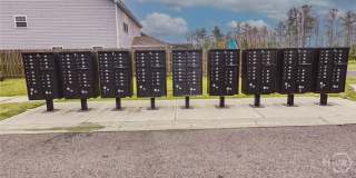 391 Coconut Drive Gallery 62