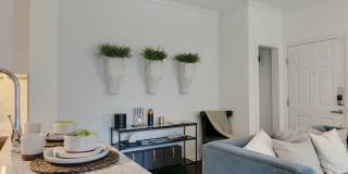 Town Center Crossing Gallery 39