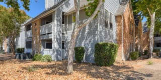 Stone Chase Gallery 2