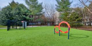 Windsor Herndon Gallery 37