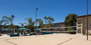 AVA Pacific Beach Gallery 31