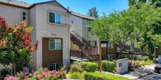 Folsom Ranch Gallery 49