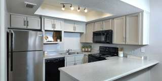 Ovation at Tempe Gallery 1