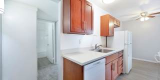 The Canopy Gallery 24