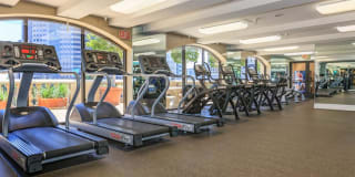 The Piero Gallery 91