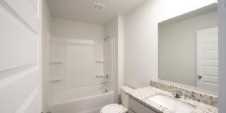 Available Now! Gallery 15