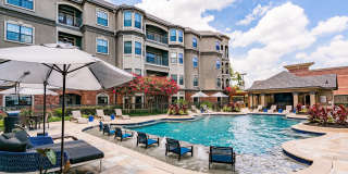 The JaXon Gallery 16