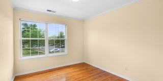 77 Williamson Ct Gallery 19