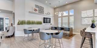 Springs at Posner Park Gallery 20