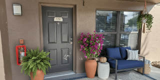 Palms of Clearwater Gallery 37