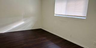 489 S Backer Gallery 8