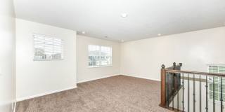 5825 Sheffield Lane Gallery 14