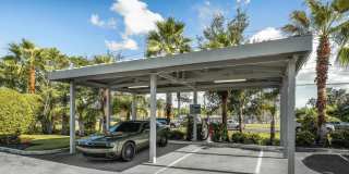 Peridot Palms Gallery 44