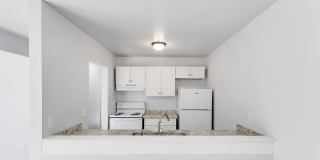 Aspen Flatz Gallery 14