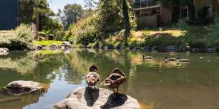 Cobble Creek Gallery 14