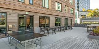 The Harlo Gallery 37