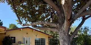 Attractive 3/2 single family home Gallery 1