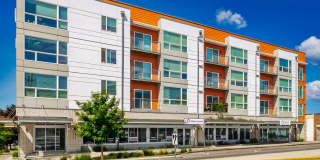 Harlow Heights Gallery 3